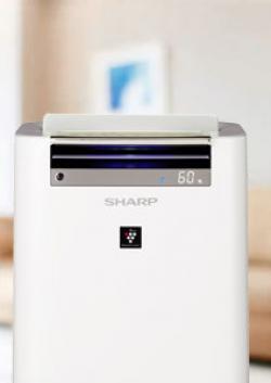 Sharp Newsletter Issue May 18